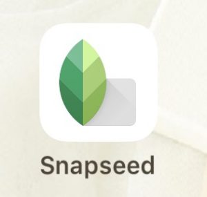 写真の一部を綺麗に消すアプリ Snapseed の使い方
